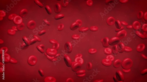 Computer generated video to simulate a red blood cells loop flowing