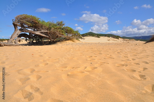 Dune di Piscinas