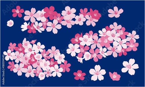 桜のベクター素材　Cherry blossom vector illustration - Sakura