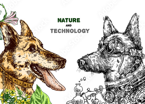 Hand drawn vector illustration dog.