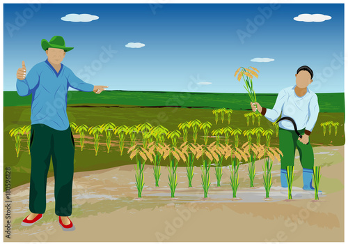 farmer harvest rice in paddy field vector design