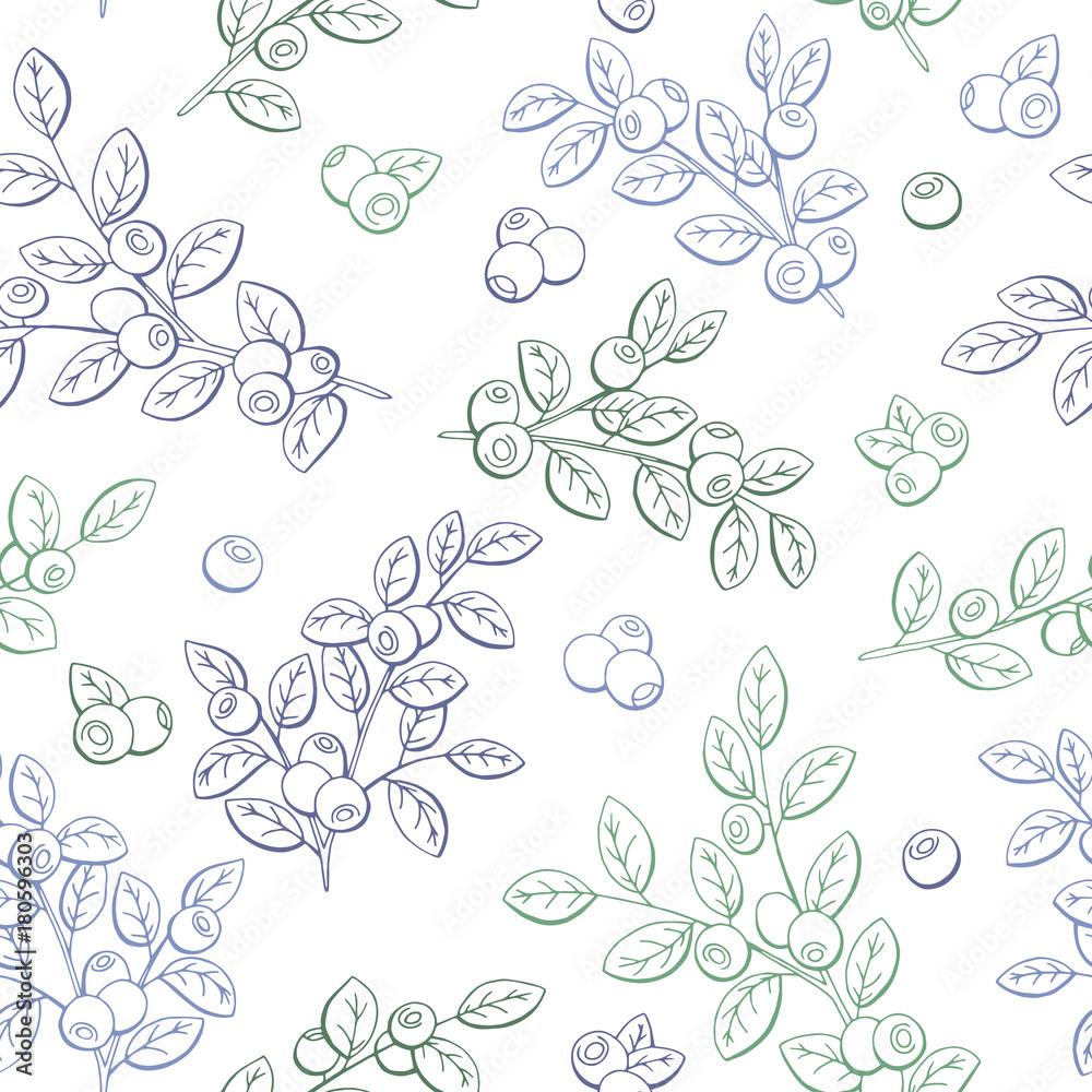 Blueberry graphic color seamless pattern sketch illustration vector