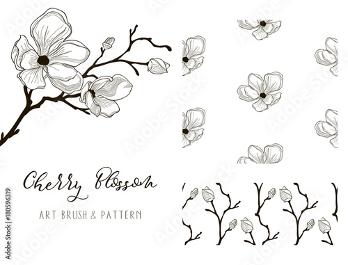 Cherry Blossom Design. Art Brush and Pattern. Vector