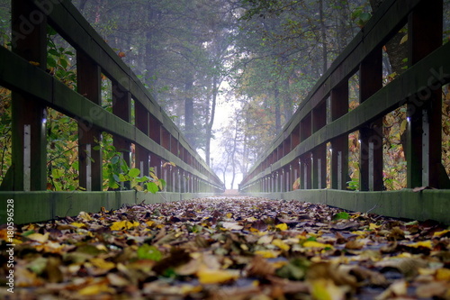 drewniany pomost w jesiennym lesie nad jeziorem