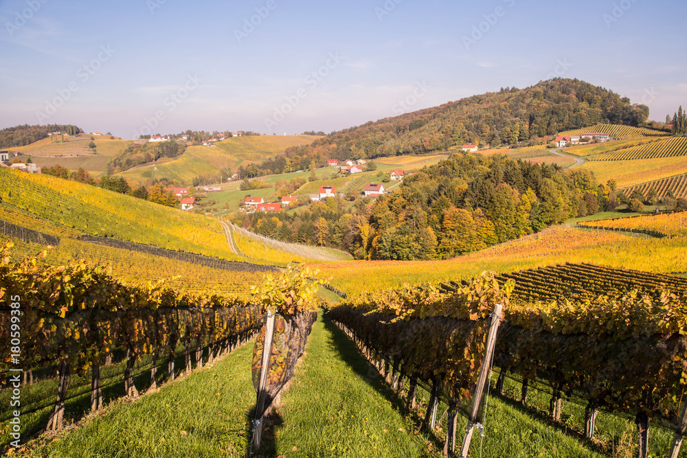 Weinberge in der Südsteiermark im Herbst