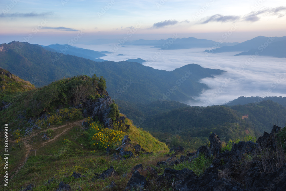 The beautiful landscape for seeing the mist at Doi Pha Tang, Chaingrai province is a famous tourist destination in northern Thailand.