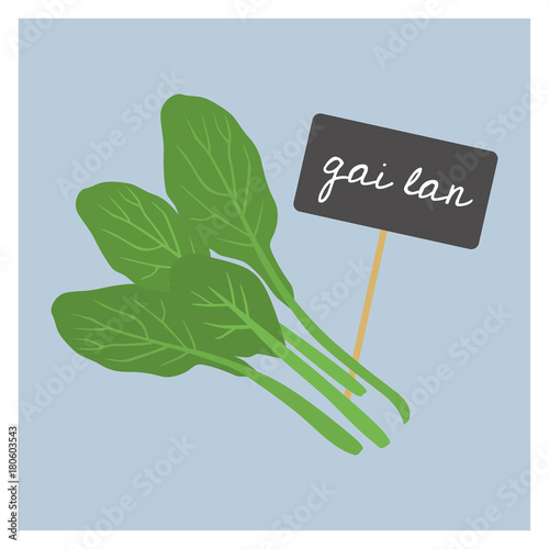 Vector Vegetable - Gai lan