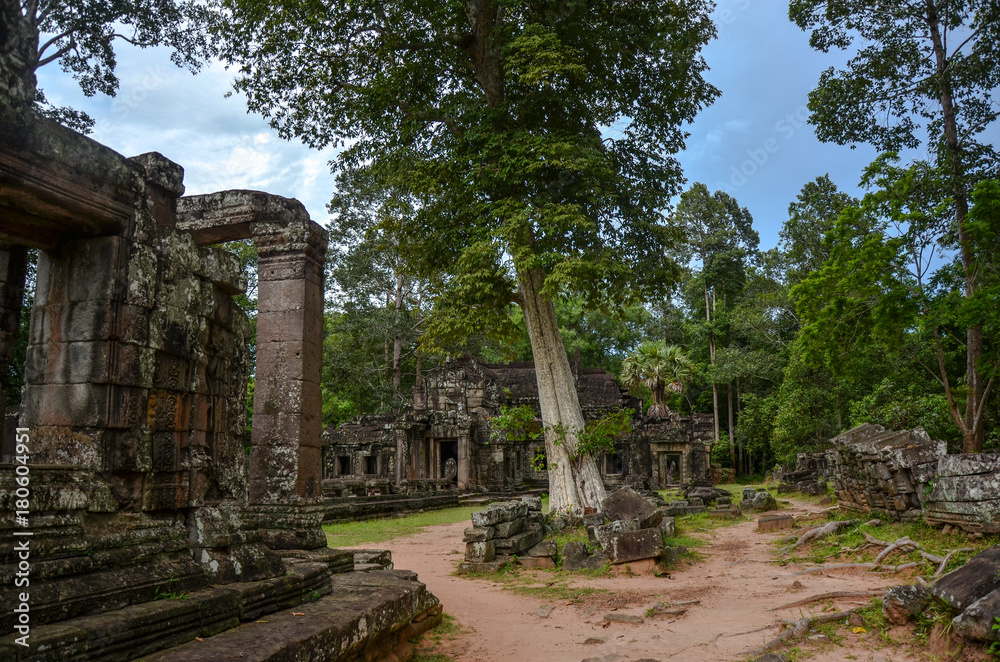 Temple view