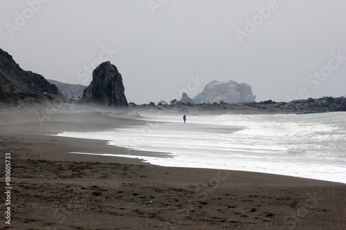 Goat Rock Beach -  northwestern Sonoma County, California,  is the mouth of the Russian River, and the southern end of this crescent shaped expanse is the massive Goat. Seagull, Seal. 