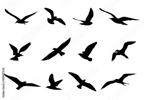silhouette bird shape vector design © phoopanotpics