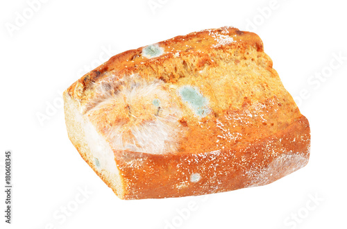 Molded loaf of bread