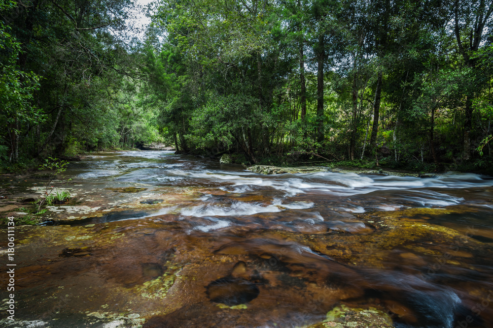 River in the tropical rainforest landscape River in the tropical rainforest landscape