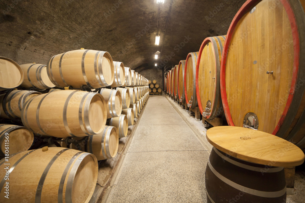 Slovenia, Il Collio sloveno,Cantina di Vino con botti e bottiglie.