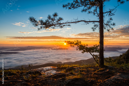 Sunrise and the mist in winter morning