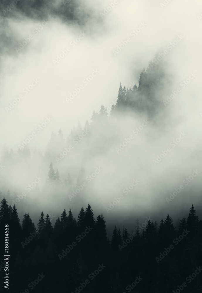 dark landscape with fog trees and mountains