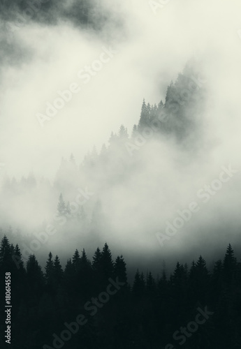 dark landscape with fog trees and mountains