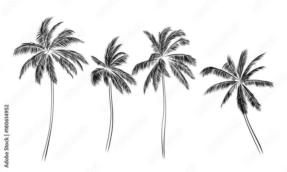 Naklejka premium Group of palm trees vector silhouettes