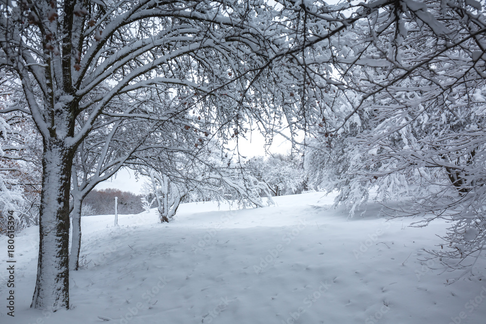 Obraz premium Beautiful snowy tunnel