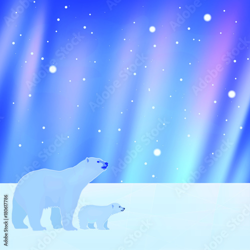 Polar bears and aurora borealis background