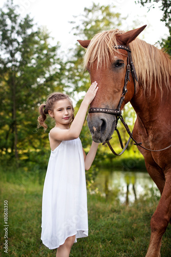 Little girl and brown horse. Summer meadow.