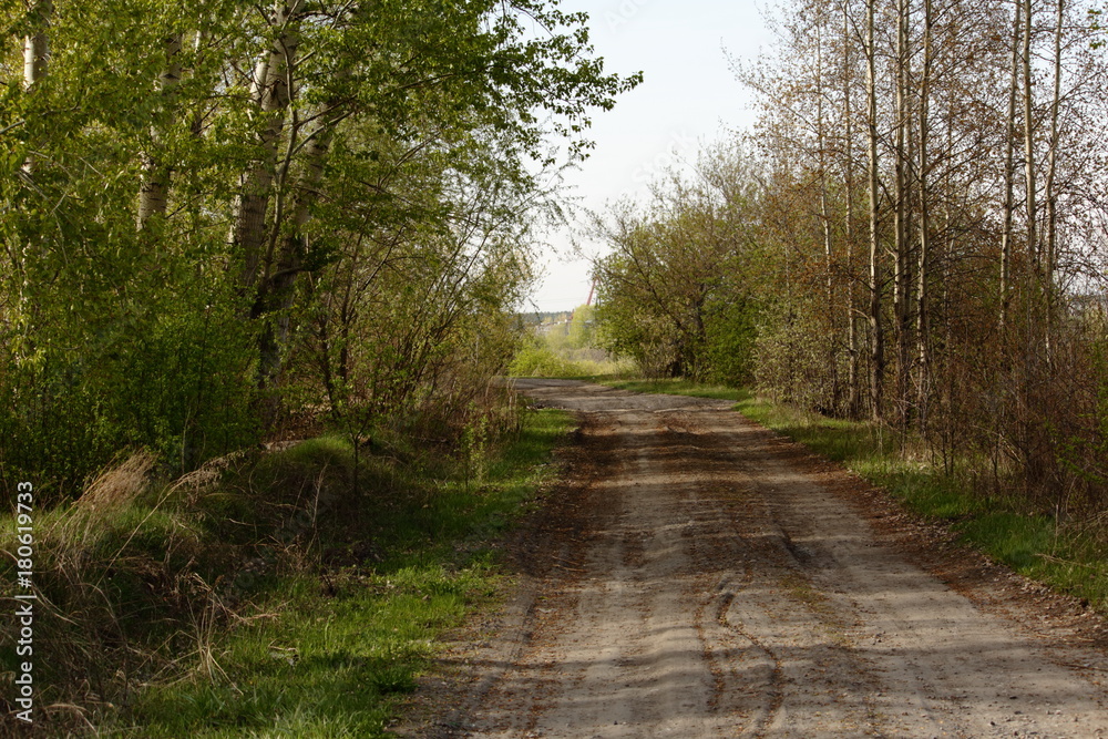 Naklejka premium nature, flowers, journey, field, insects, forest, still life, road, river, landscape, clouds, sky, storm, rain, sunset, sun, night