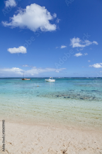 White sand beach of Mauritius island © loreanto