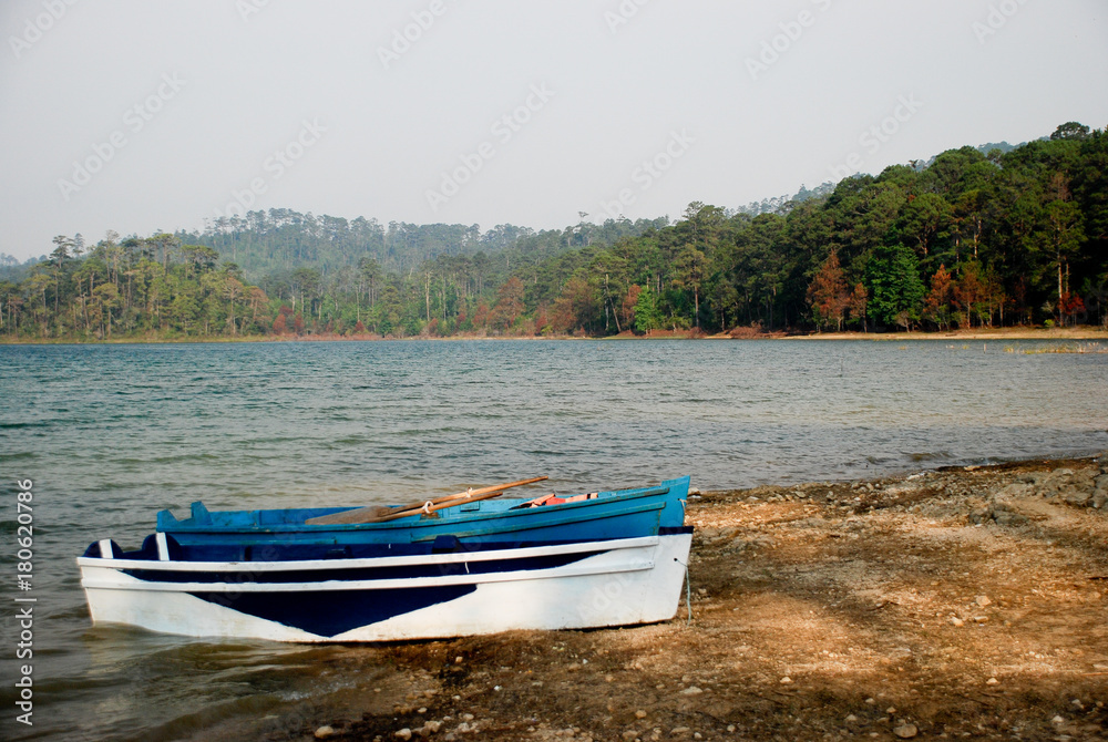 Landscape with Cenote in Chiapas