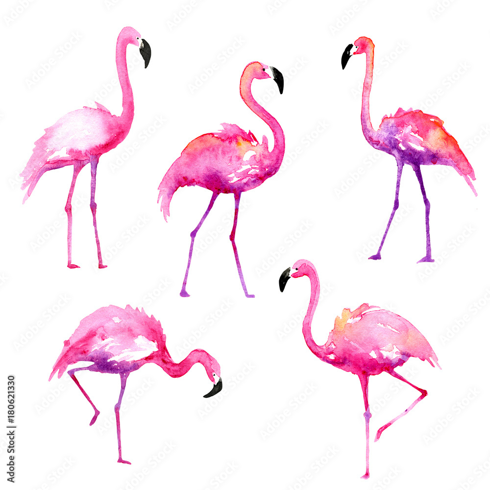 Naklejka premium Zestaw ręcznie malowanych akwarela flamingów