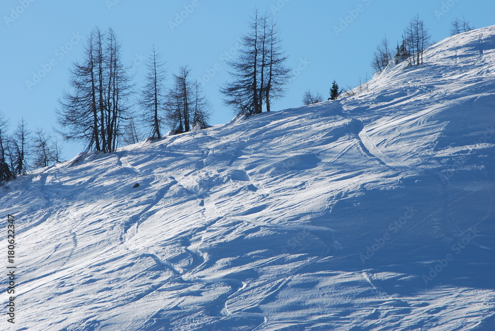 Obraz premium Winter