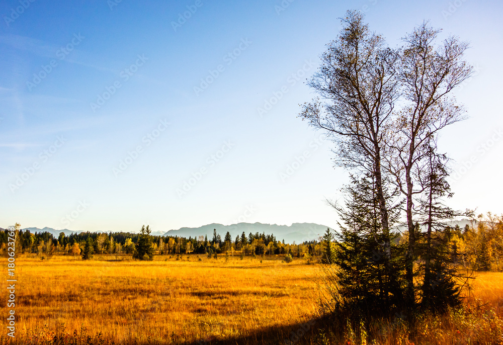 ellbacher moor