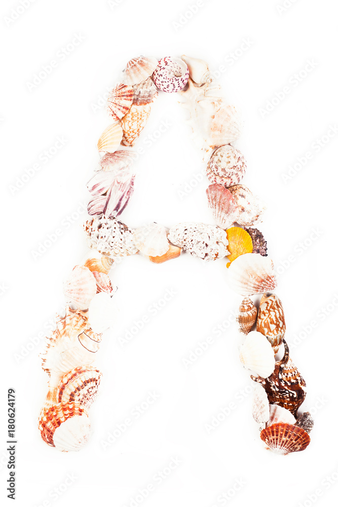 The font of seashells isolated on a white background holidays vacation sea ocean Letter A