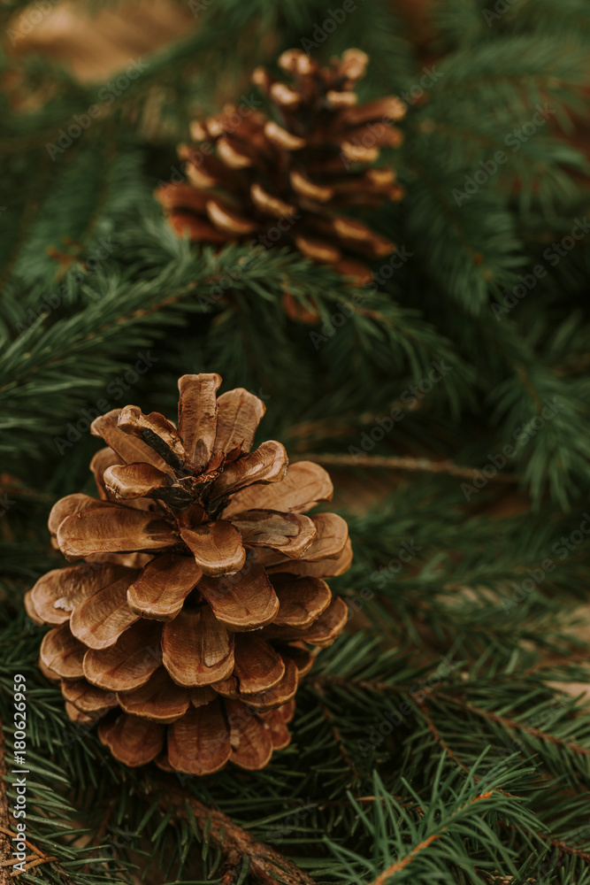 Christmas background. Green branch with needles on wooden table.