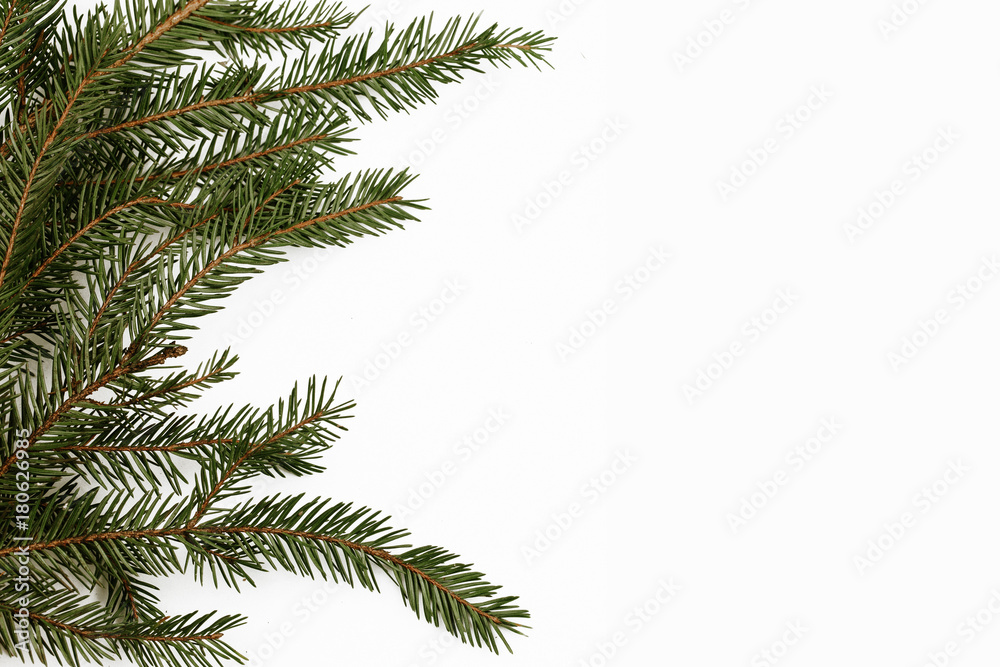 Green needle branch in studio isolated on white. Empty copy space christmas background. Green needle branch in studio isolated on white. Empty copy space christmas background.
