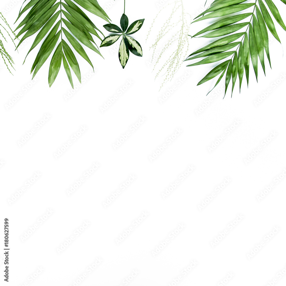 green palm leaf branches on white background. flat lay, top view green palm leaf branches on white background. flat lay, top view