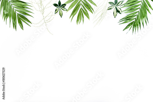 green palm leaf branches on white background. flat lay, top view