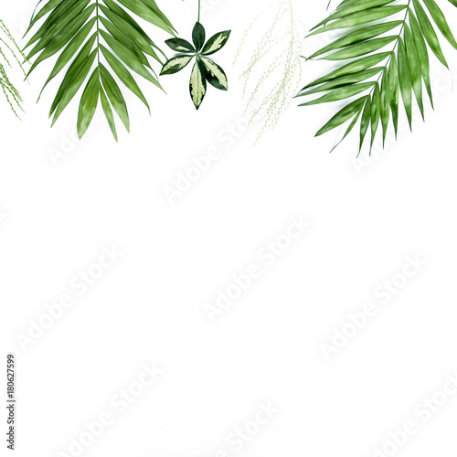 green palm leaf branches on white background. flat lay  top view