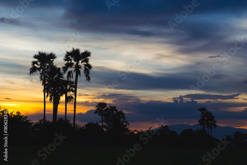 Background sunset Silhouette in Thailand .