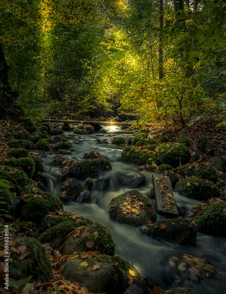 Obraz premium Fall by the creek