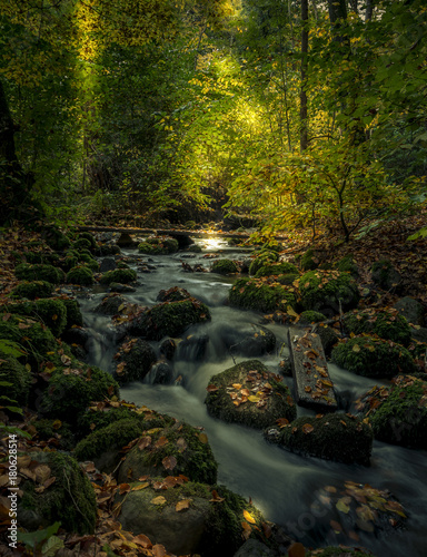 Fototapeta Naklejka Na Ścianę i Meble -  Fall by the creek