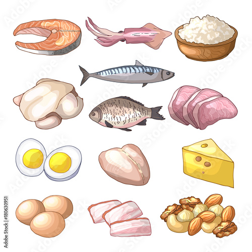 Useful products. Illustrations in cartoon style. Vector collection set