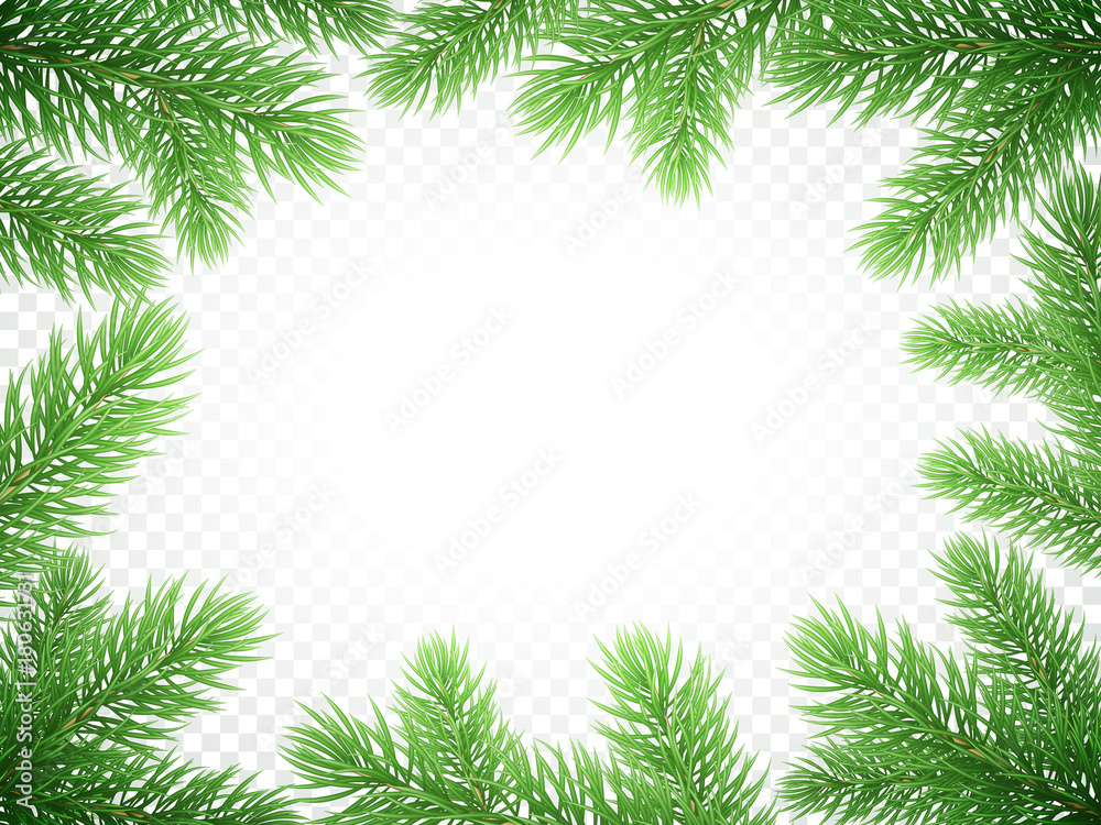 Christmas holiday greeting card background template of New Year fir or pine tree branch wreath frame. Vector Christmas or New Year banner decoration design on transparent luxury white