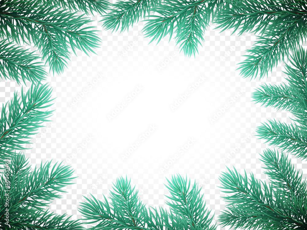 Christmas holiday greeting card background template of New Year fir or pine tree branch wreath frame of snow frost. Vector Christmas or New Year party or sale banner design on transparent white