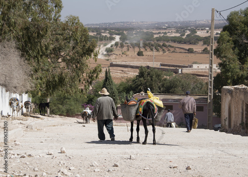 An old man leading his grocery laden donkey away from the weekly berber open market a short way from Essaouria in Morocco - Landscape