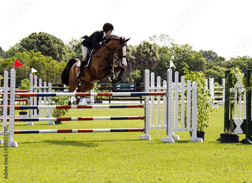 Fotografie, Tablou A horse and rider jumping over an obstacle.