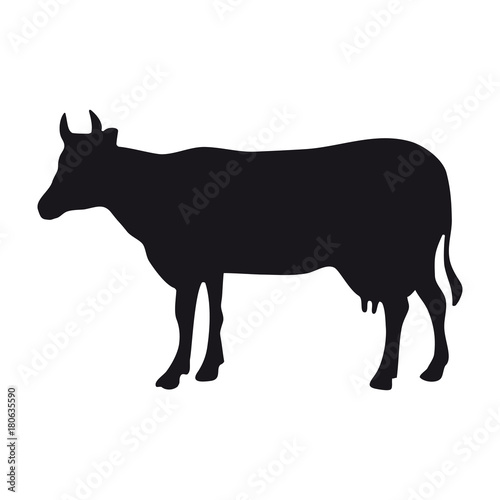 Cow icon on the white background symbol