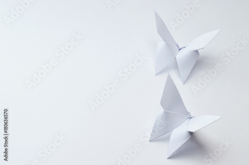 origami butterflies on white background photo
