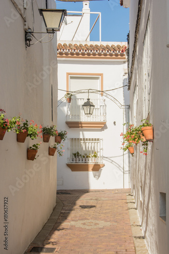 Flowers hanging on a white wall