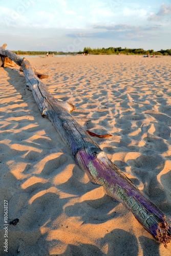 Obraz na płótnie A wooden beach stump with the words w salonie