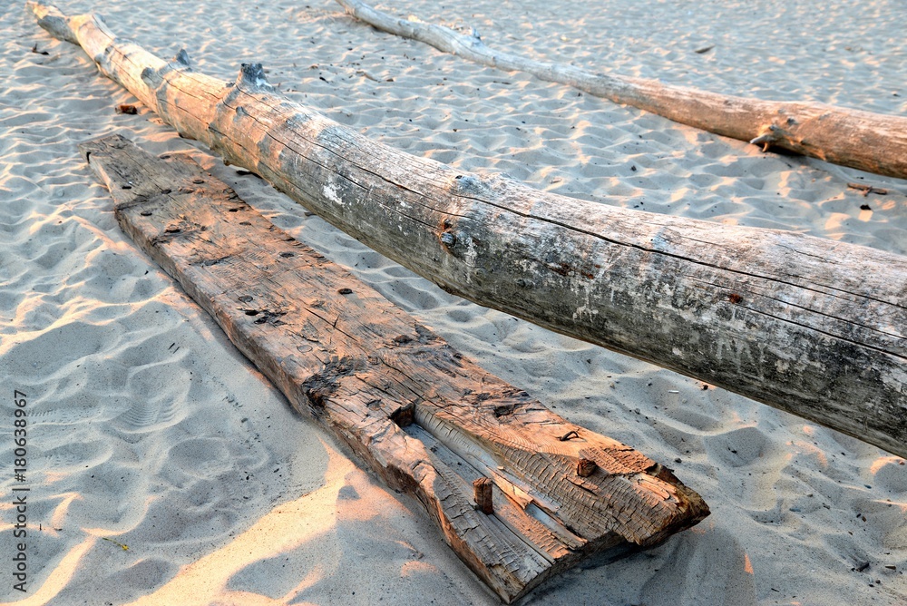 wooden logs on the beach brought by the water