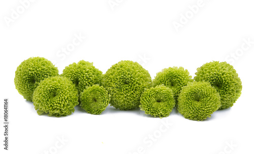 green chrysanthemum isolated
